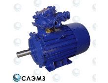 Электродвигатель АИММ 100 L2 и АИМ100L2 - 5,5/3000