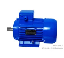 Електродвигун АИР 200 L2 - 45/3000