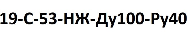 Условное обозначение и маркировка обратного клапана 19с